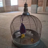 فروش دو عدد قفس پرنده