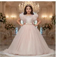 مجلسی پرنسسی