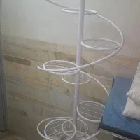 استندگل و گلدان خالی|گل و گیاه طبیعی|کرمان, |دیوار