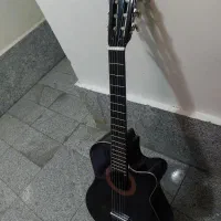 گیتاردیاموند