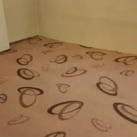 موکت تمیز