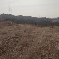 زمین-باغی-کوشک-زر