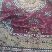 فرش|فرش|شیراز, مسلم|دیوار