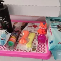 سگ عروسکی|سگ|دزفول, |دیوار