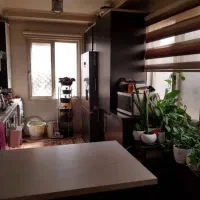 101متر فول امکانات/تک واحدی|فروش آپارتمان|تهران, امیر بهادر|دیوار