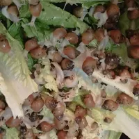 حلزون بهترین منبع درآمد