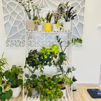 استند گل پی وی سی