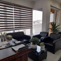 راننده خانم