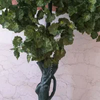 درختچه سالم