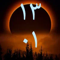 سرمایه گذار