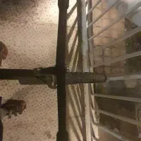 دچرخه ۲۶دماوند|دوچرخه، اسکیت، اسکوتر|بیرجند, |دیوار