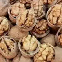 گردو کلات  پرچرب کلات رسید خوشمزه