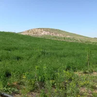 فروشی|فروش دفتر صنعتی، کشاورزی، تجاری|اهر, |دیوار