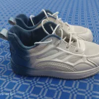 کفش|کیف، کفش، کمربند|نسیم‌شهر, |دیوار