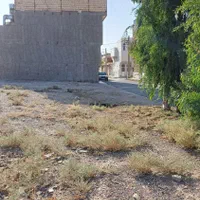 فروش زمین ۲۱۸ متری دو کله ۸ متر بر