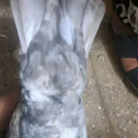 دوم سرور معاوضه فقط