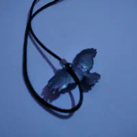 زنجیر|جواهرات|جوانرود, |دیوار