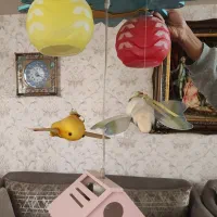 لوستر اتاق کودک|لوستر و چراغ آویز|ارومیه, |دیوار