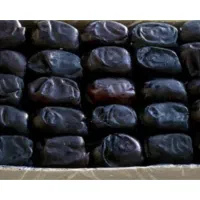 فروش ۱۳۰ عدد مادر کارتن خرمای دو ردیفه