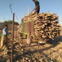 خرید چوب گلخونه ای|خدمات باغبانی و درختکاری|پیشوا, |دیوار