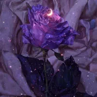 ریمل لیفت کننده سرژه