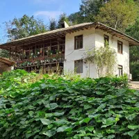 اجاره روزانه  اقامتگاه امیر