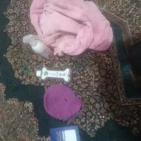 واگذاری سگ شناسنامه دار|سگ|سیرجان, |دیوار