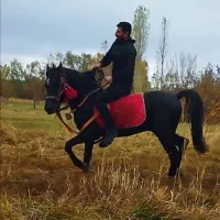 بعلت نداشتن جا میفررشم