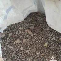 کود کبوتر