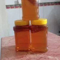 عسل طبیعی|خوردنی و آشامیدنی|دهگلان, |دیوار
