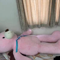 شاسخین صورتی