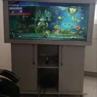 فروش فوری آکواریوم با ماهی