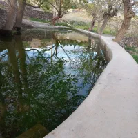 زمین باغی در روستای قز