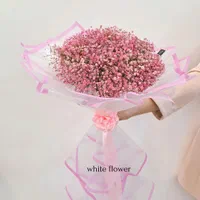 دسته گل ژیپسوفیلا در سایزبندی|گل و گیاه طبیعی|مشهد, دانشجو|دیوار
