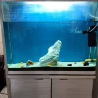 آکواریوم شیشه خم با لوازم کامل