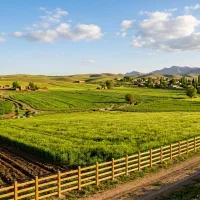 زمین-کشاورزی-آبی-جهت-اجاره