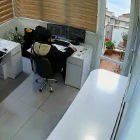 برنامه‌نویس هستم. کد اختصاصی، افزونه وردپرس و