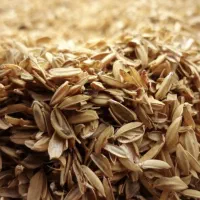 پوست چلتوک|عمده‌فروشی|پاسارگاد, |دیوار