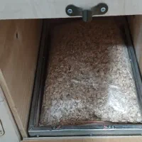 لونه راهب وملنگو وخورشیدی