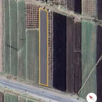 زمین کشاورزی بدراباد