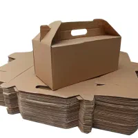 کارتن بسته بندی