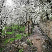 تورهای گروهی یک روزه و سه روزه