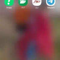 برنامه های درآمد زا