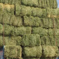 یونجه درجه یک خالص|خدمات باغبانی و درختکاری|قیدار, |دیوار