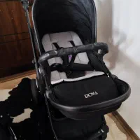 کالسکه و کریر دلیجان