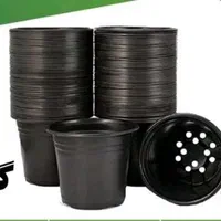 گلدان گلخانه ای نشا ارزان عمده اینترنتی|گل و گیاه طبیعی|رشت, بلوار گیلان|دیوار