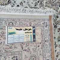 ۴ تخته ۱۲ و ۹ تخته ۹ متری فرش ضخیم|فرش|قم, نیروگاه|دیوار
