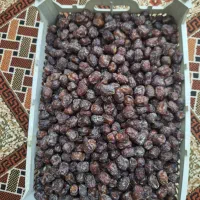 خرما خنیزی.  کلوته