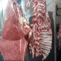 فروش گوشت گوساله، گوسفندی، خورشتی و خورده گوشت|خوردنی و آشامیدنی|بهارستان, |دیوار