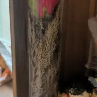 دکوری و تزیینی اسلاید ها در توضیحات